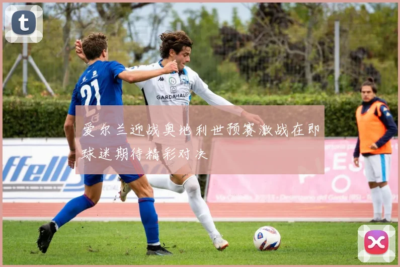 爱尔兰迎战奥地利世预赛激战在即球迷期待精彩对决