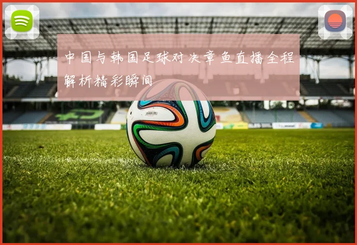 中国与韩国足球对决章鱼直播全程解析精彩瞬间